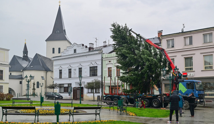 Karviná shání vánoční strom. Nemáte ho na zahradě?