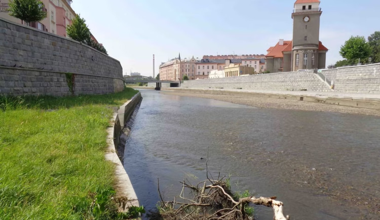 Údržba jezu v Olomouci odhalila suchá místa v Moravě. Město varuje před přenášením ryb