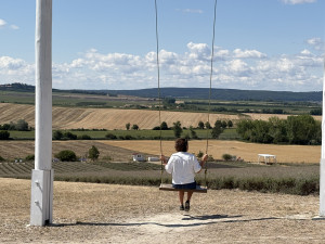 FOTO: Kousek Provence na Moravě. Levandulová pole ve Starovičkách stále kvetou