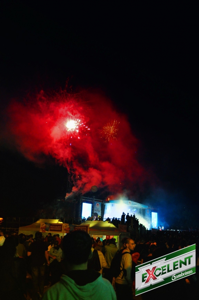 Brněnský Majáles 2013