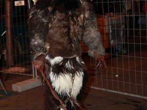 Mikuláš v centru Brna, foto: Brněnská Drbna, Miroslav Toman