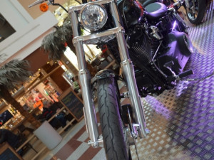 Svět motocyklů 2014, foto: Brněnská Drbna, Hana Mikešová