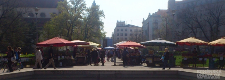 Prodejci se přesunuli na Moravské náměstí, foto: Brněnská Drbna, David Zouhar