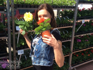 Hanka Kynychová si na výstavišti vybrala nové květiny do zahrady, foto: Brněnská Drbna, David Zouhar
