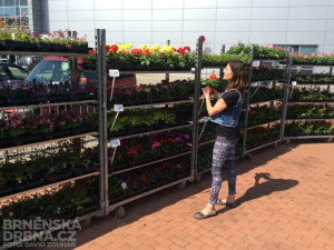 Hanka Kynychová si na výstavišti vybrala nové květiny do zahrady, foto: Brněnská Drbna, David Zouhar