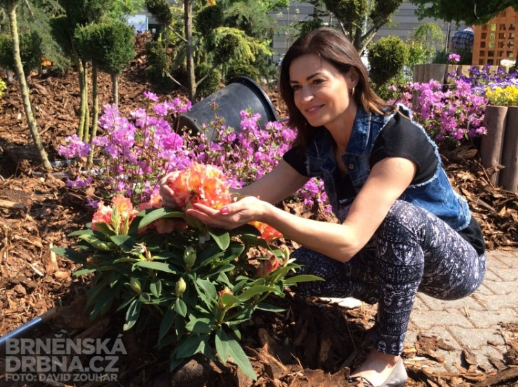 Hanka Kynychová na výstavišti zasadila květinu, foto: Brněnská Drbna, David Zouhar