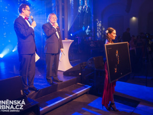 Charitativní dražba umění