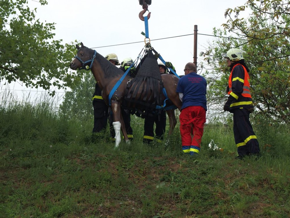 Cvičení Dálnice 2016 prověřilo připravenost složek IZS na jižní Moravě