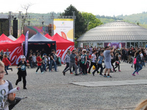 Utubering každý po svém, autor: Tomáš Sláma