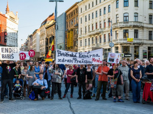 V Brně se opět po týdnu setkali lidé na protest proti Babišovi se Zemanem, autor: Tomáš Hrivňák