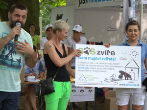 Lužánky patřily v neděli pejskům, Autor: Martin Šeda