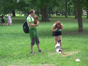 Lužánky patřily v neděli pejskům, Autor: Martin Šeda