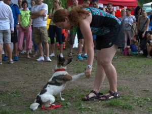 Lužánky patřily v neděli pejskům, Autor: Martin Šeda