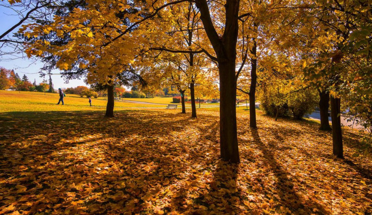 Neuvěřitelné Brno Pavla Gabzdyla