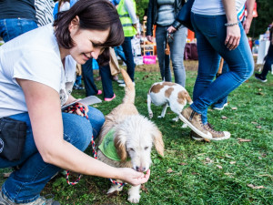 Za Lužánkami se sešly stovky milovníků pejsků, aby pomohly útulkům. Autor: Tomáš Hrivňák