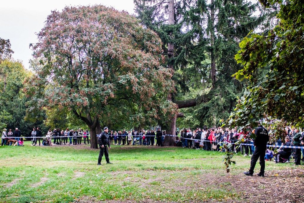 Chcete nás? Umisťovací výstava psů v Lužánkách 2018, autor: Tomáš Hrivňák