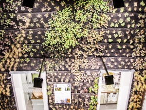 Anybody, Elsner, Slast. Nově otevřený palác na Zelňáku je chrámem rozmanitosti, autor Tomáš Hrivňák