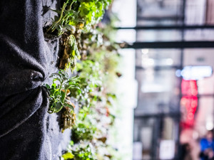 Anybody, Elsner, Slast. Nově otevřený palác na Zelňáku je chrámem rozmanitosti, autor Tomáš Hrivňák