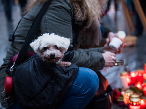 Nezabudneme, pokračujeme. Lidé si v Brně připomenuli zavražděného novináře a jeho snoubenku, autor: Tomáš Hrivňák