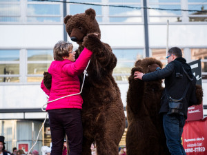 Do Brna zavítal fašank, autor: Tomáš Hrivňák