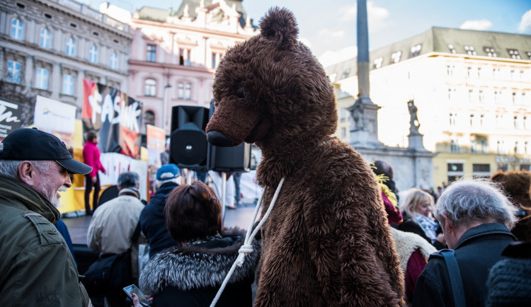 Do Brna zavítal fašank, autor: Tomáš Hrivňák