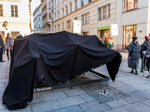 Žraloci obsadili Šilingrák, autor: Tomáš Hrivňák