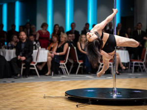 Ples pro Fénix 2019, autorka: Veronika Kovářová