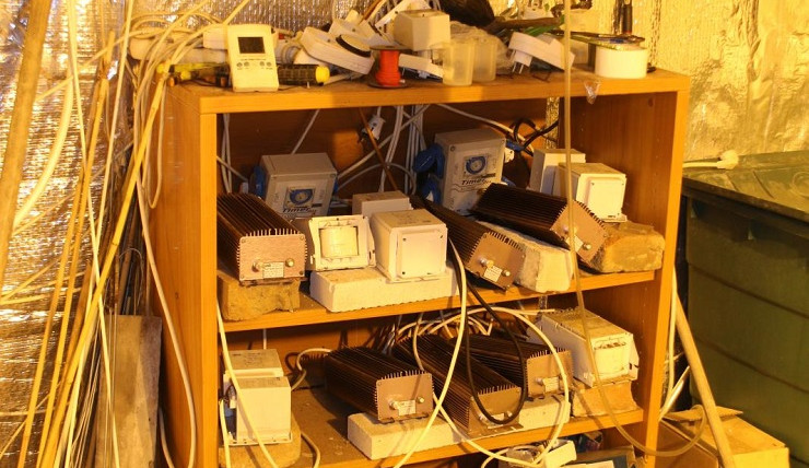 Pěstírna marihuany na Blanensku