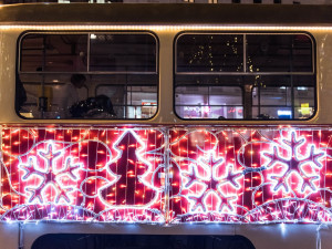 Svoboďák dnes prozářil vánoční strom. Rozsvícení stromu zahájilo vánoční trhy i ve středobodu města