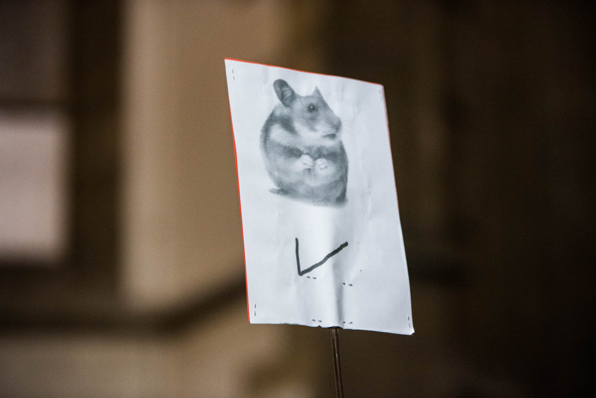 Pochod Postavme se rozvratu institucí, autor Tomáš Hrivňák