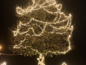 Brněnský hrad Špilberk rozzářily statisíce světel. Odkazují na dávné legendy, nechybí ani světelný drak