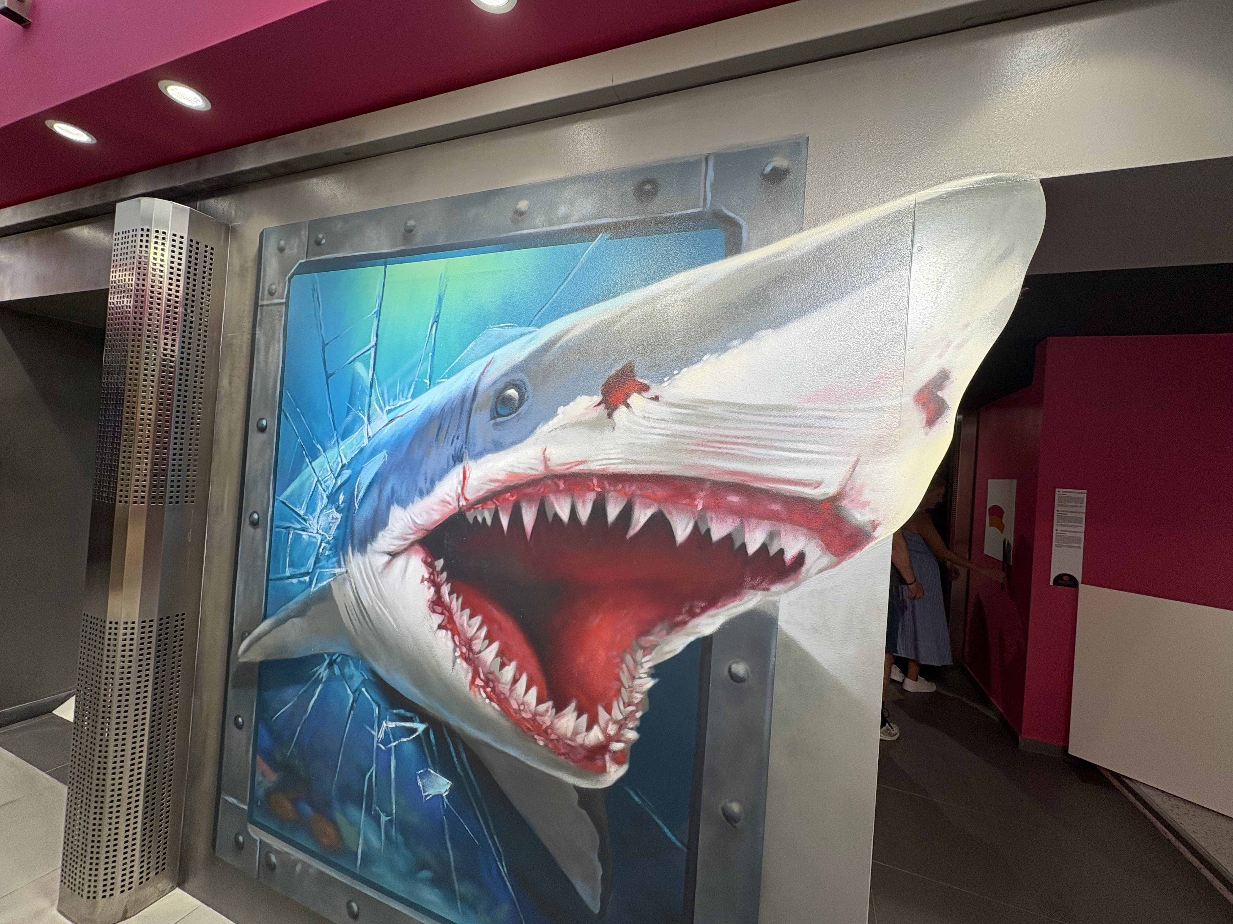 FOTOGALERIE: Svět naruby v centru Brna. Nové muzeum iluzí láká na optické triky a zrcadla