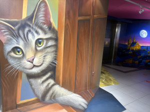 FOTOGALERIE: Svět naruby v centru Brna. Nové muzeum iluzí láká na optické triky a zrcadla