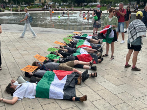 FOTOGALERIE: Klobásy i rvačka mezi aktivisty. Fialova grilovačka v Brně se vyostřila