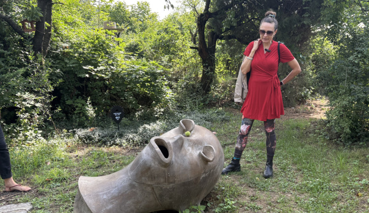 FOTOGALERIE: Sochy v Brně proměnily okolí Žlutého kopce v galerii