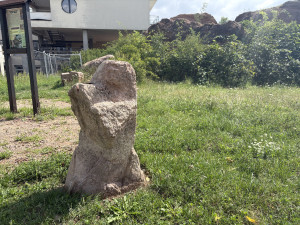 FOTOGALERIE: Sochy v Brně proměnily okolí Žlutého kopce v galerii