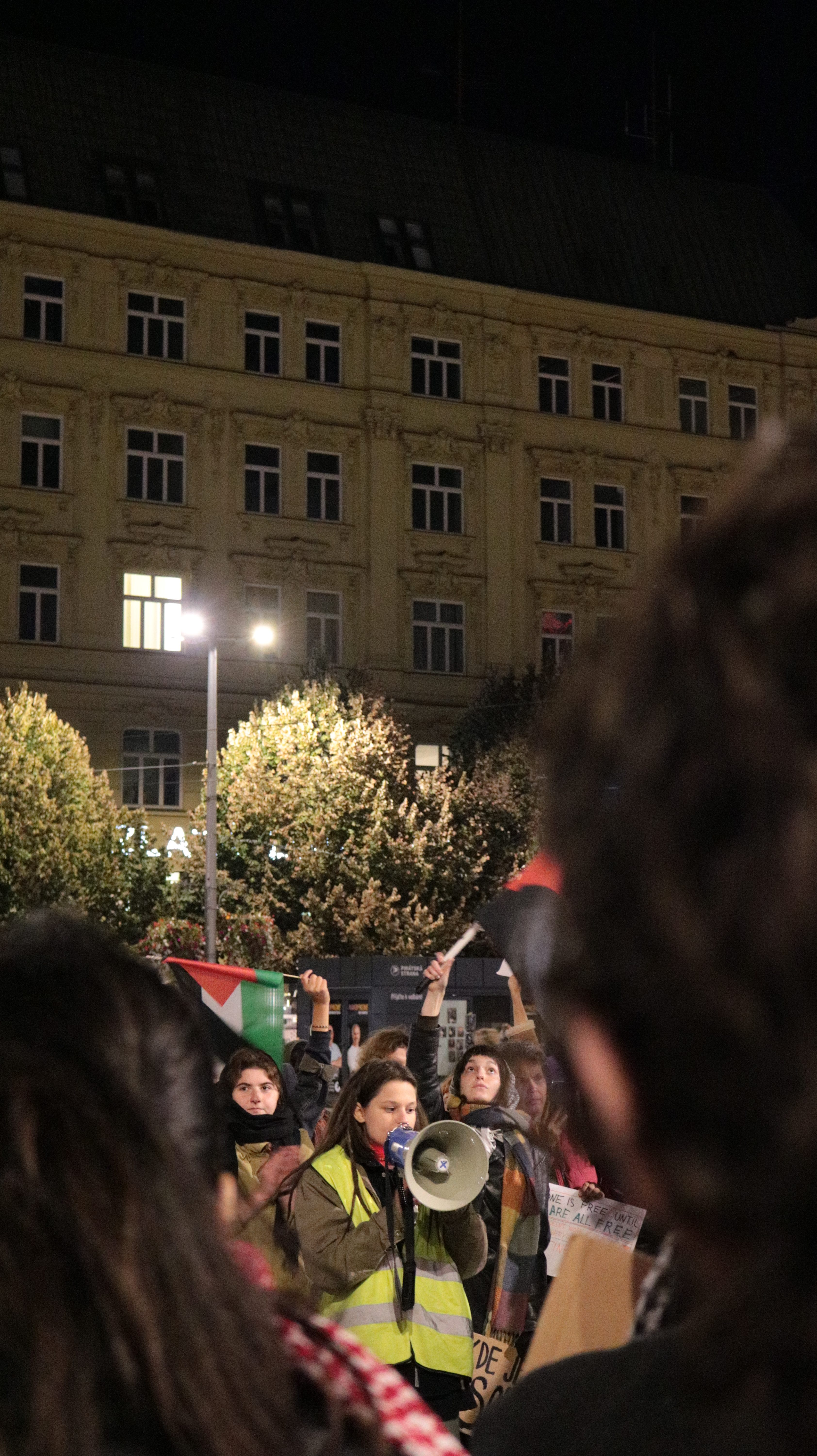FOTO: Aktivisté protestovali na podporu Šárky, stala se nezvěstnou na cestě do Gazy