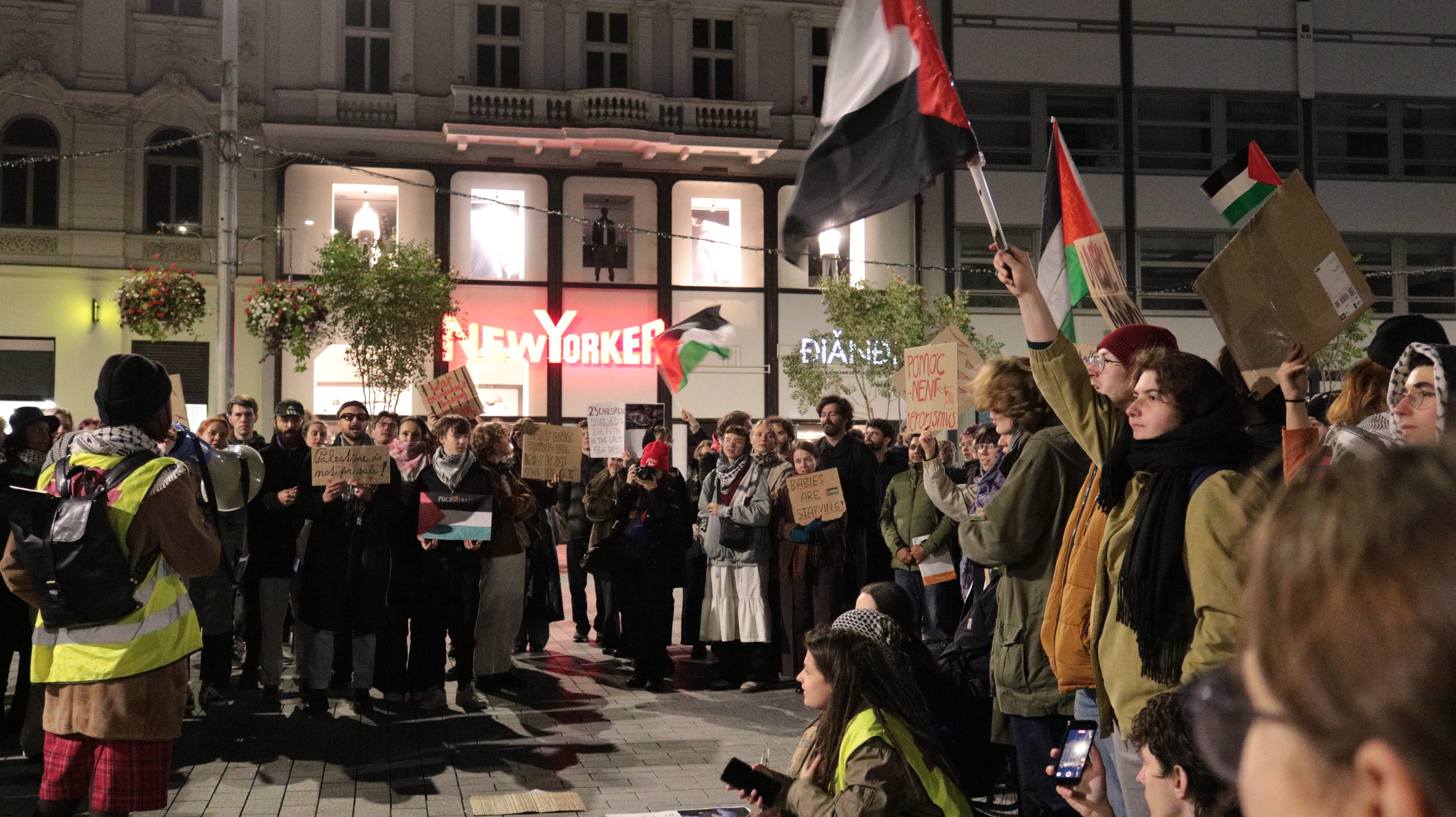 FOTO: Aktivisté protestovali na podporu Šárky, stala se nezvěstnou na cestě do Gazy