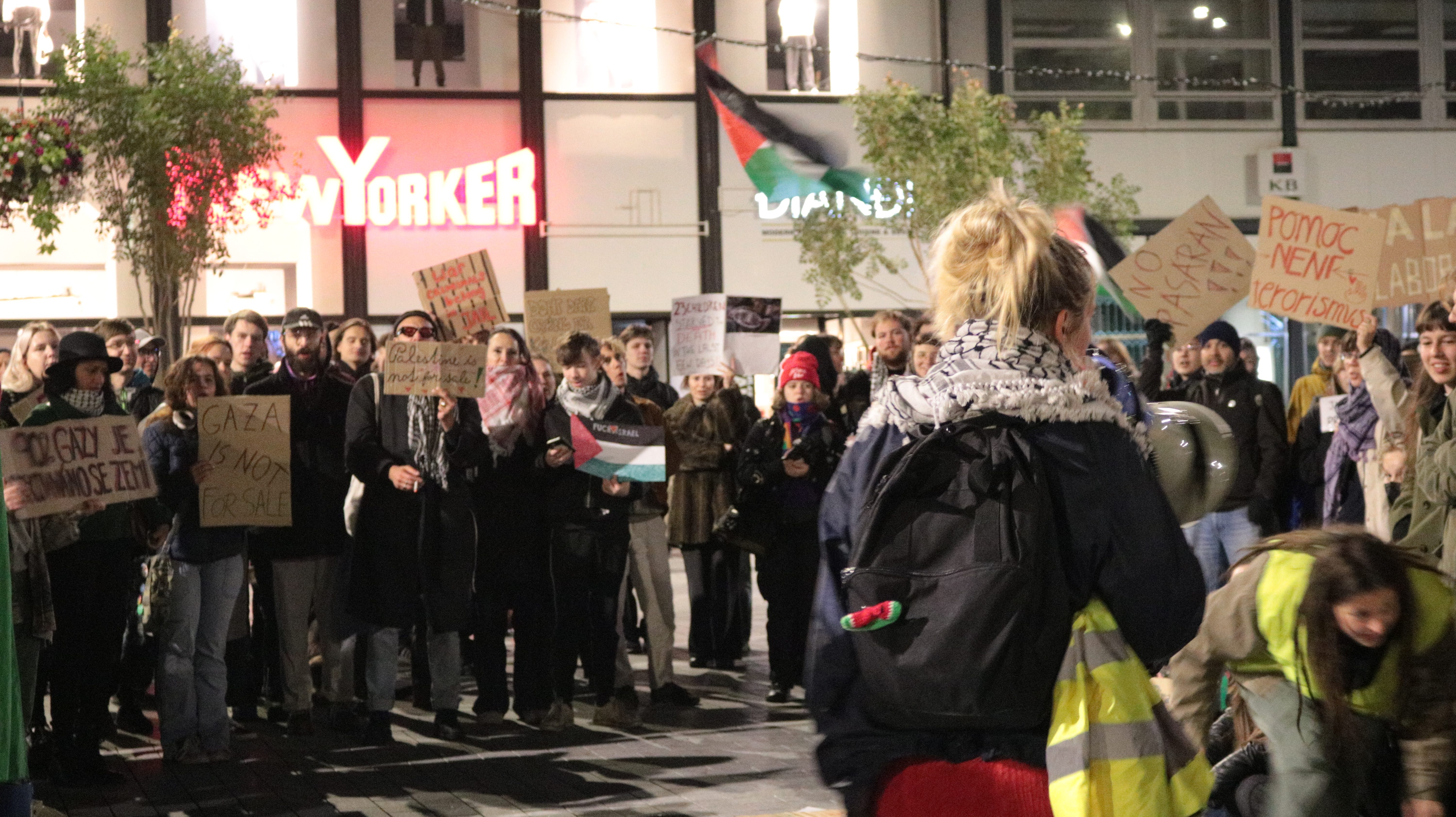 FOTO: Aktivisté protestovali na podporu Šárky, stala se nezvěstnou na cestě do Gazy