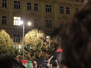 FOTO: Aktivisté protestovali na podporu Šárky, stala se nezvěstnou na cestě do Gazy