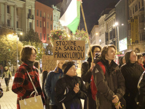 FOTO: Aktivisté protestovali na podporu Šárky, stala se nezvěstnou na cestě do Gazy