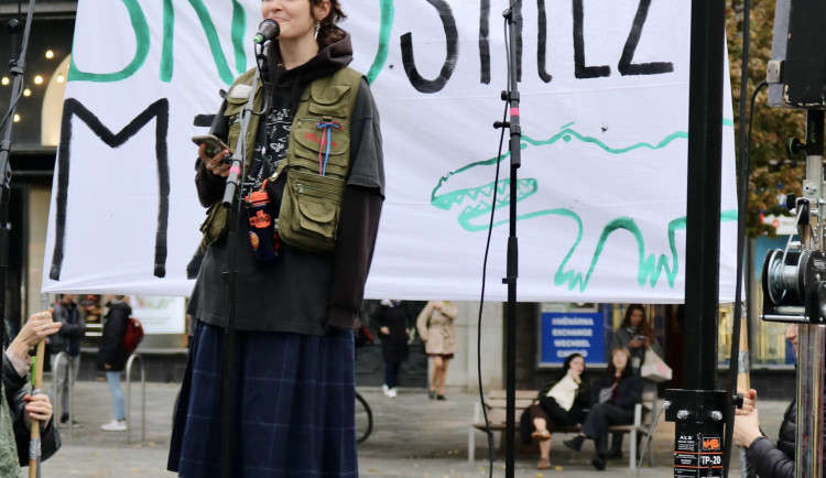 FOTO: Brno proti Macinkovi, na protest přišly stovky lidí