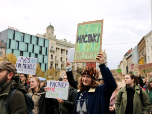 FOTO: Brno proti Macinkovi, na protest přišly stovky lidí