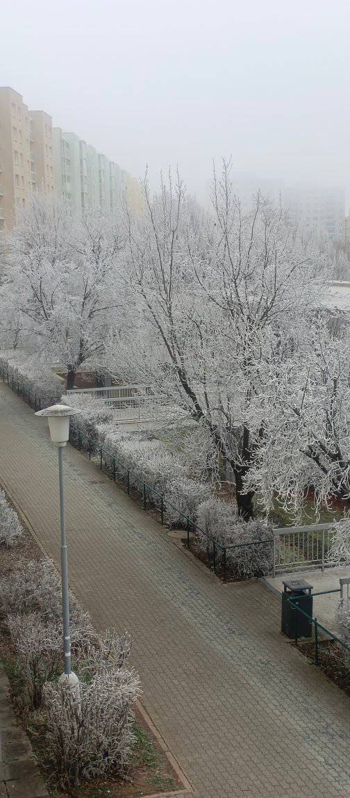 FOTO: Brno a okolí dnes zasypal sníh. Podívejte se, jak to na jižní Moravě vypadalo