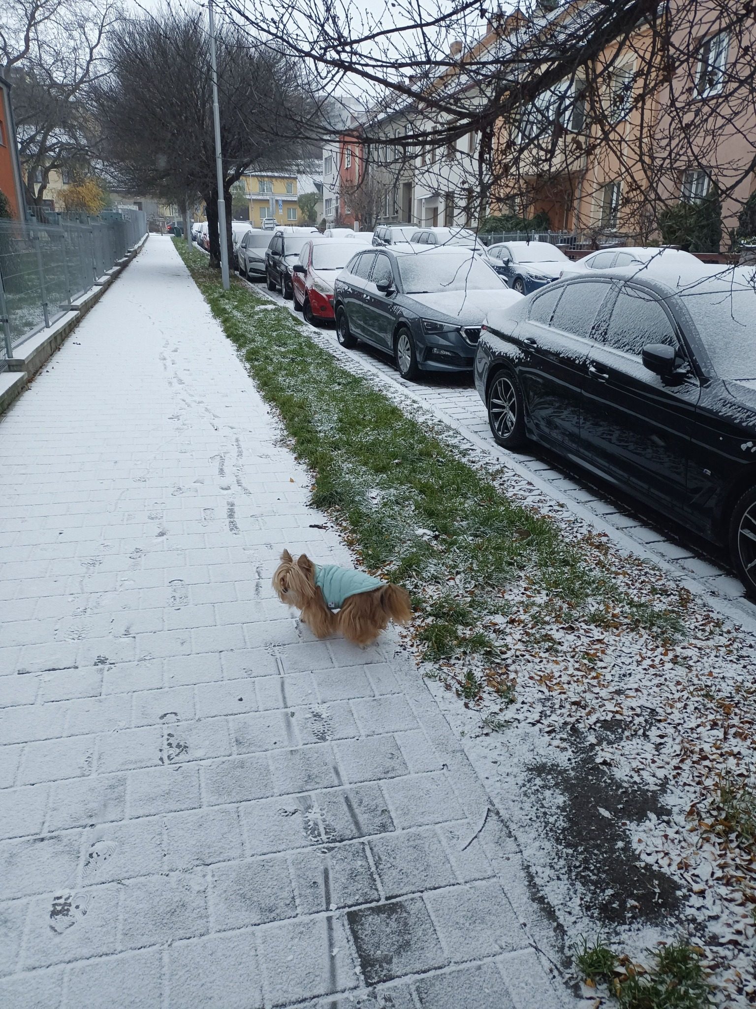 FOTO: Brno a okolí dnes zasypal sníh. Podívejte se, jak to na jižní Moravě vypadalo
