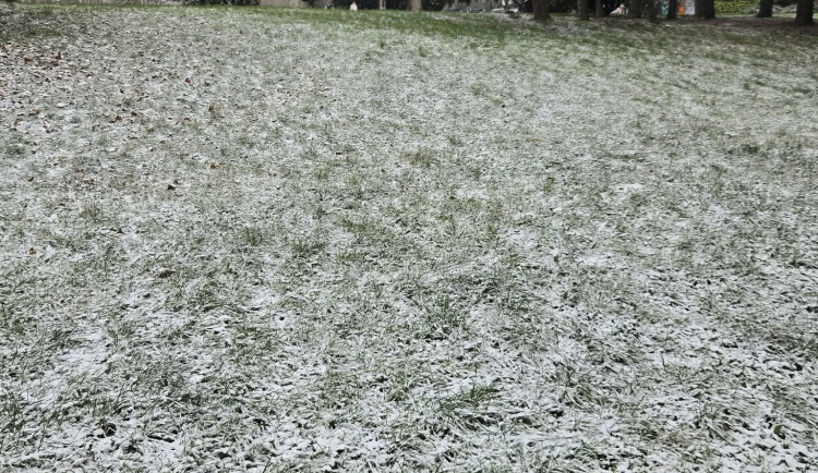 FOTO: Brno a okolí dnes zasypal sníh. Podívejte se, jak to na jižní Moravě vypadalo