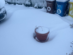 FOTO: Brno a okolí dnes zasypal sníh. Podívejte se, jak to na jižní Moravě vypadalo