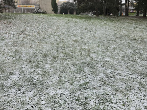 FOTO: Brno a okolí dnes zasypal sníh. Podívejte se, jak to na jižní Moravě vypadalo