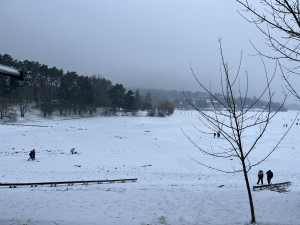 FOTO: Brusle i běžky. Na Pryglu dovádí desítky lidí