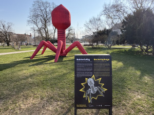 FOTOGALERIE: Moravák obsadila obří nafukovací monstra